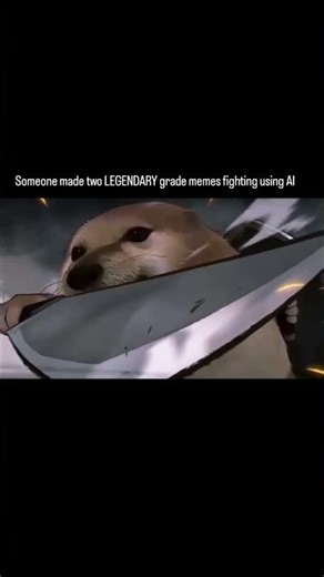 Bananacat vs Doge fight