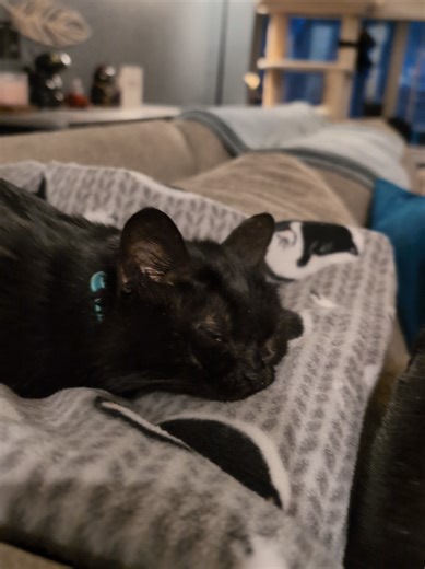 Toothless the Dragon and Hiccup! I didn't mention Hiccups age in the video, he's two years old.