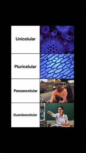 A melhor aula de biologia que você vai ter hoje! 😂🦠