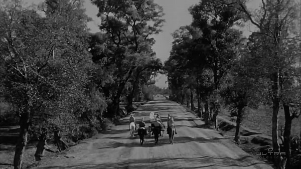 Película completa"Un Gallo En Corral Ajeno"1952👩‍❤️‍👨🍷🌞🤠💟❤️‍🔥🌵🎭🌜Gloria Marín, Enriqueta Lavat, Maruja Grifell, Jorge Negrete, Andrés Soler, Julio Villarreal, Eduardo Arozamena, El Trío Calaveras 🪕Director: Julián Soler🎬 #EpocadeOro #CineMexicano #PeliculasMexicanas #CinedeOroMexicano #JorgeNegrete | Grandes Personajes de la Época de Oro