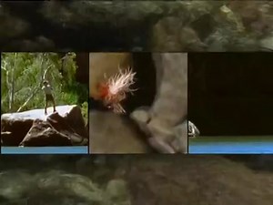 A River Somewhere 1x 01 The Howqua