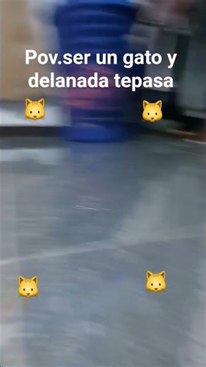 25 de diciembre de 2025