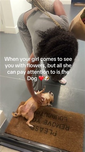When Dolly comes to see me