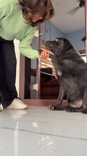 VeNn🍃 on Instagram: "Apo allam paranja pole 🤝"