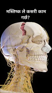 #knowledge #nepalireelsdeoシ #viralvideoシ | नमस्ते घर बजार