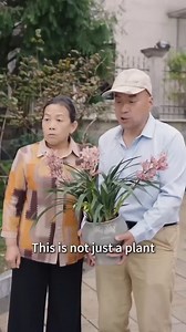 69K views · 1K reactions | A substitute bride wronged by a cold CEO walks away shattered, only for him to drown in regret and kneel for her forgiveness! | Eine Gruppe reifer Frauen auf der Suche nach einem Date | Facebook