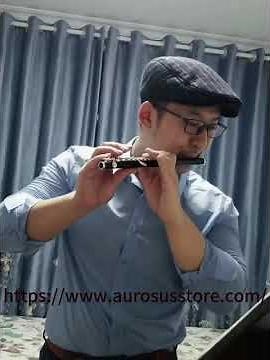 Radetzky March, Piccolo Solo #duet #5月2日 #flute