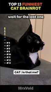 Top 13 Funniest Cat Brainrot 🐱🧠😂 #funnyvideos #cat #funny #cute #animals #viral #shorts #cbum