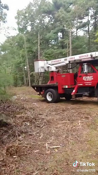 #woods #tree #treeservice #bucket #truck