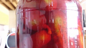 9 of the strangest regional food combinations