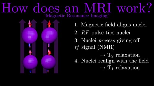 【中英字幕】最好的核磁共振及磁共振成像原理讲解 有公式有动画 超详细！ NMR MRI T1/2 relaxation spin echo