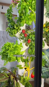6.7K reactions · 1.4K shares | Want to crush your New Year’s goals? Start by growing fresh, healthy food at home – no green thumb required. 塞 Fresh, pesticide-free produce all year  Perfect for clean meals & fitness gains  Smart tech makes it easy and effortless Try Gardyn risk-free for 60 days – grow smarter, eat cleaner! | Gardyn | Facebook