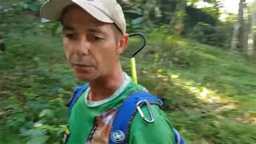 Why you don't play with big snakes