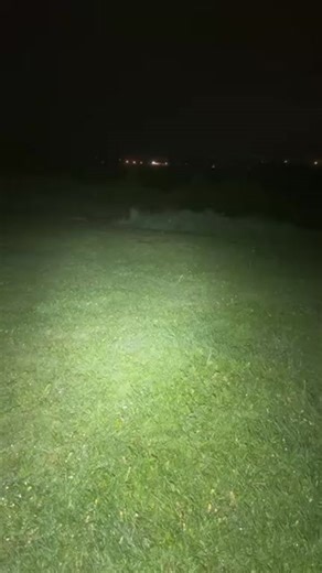 148K views · 951 reactions | The scariest woods on earth SCREAMS HEARD!! This is DISTURBING!! | Project reveal - Ghosts of Britain | Facebook