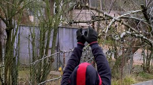 Gardener is trying to prune a branch tree but secateurs drops from his hands. Fail. Safety engineering. Gardening scissors - cut tool. Side view. Close-up. Garden care. Danger moment. 4k video.