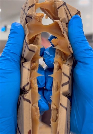 Discover Our Amazing Coffee and Stroopwafel Bar