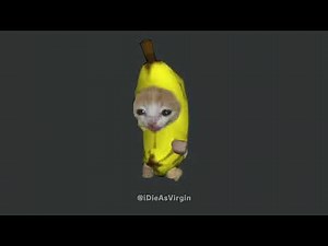 Banana cat running