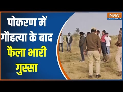 Pokhran Cow Slaughter Protest : हिंदू संगठनों में भारी रोष, जैसलमेर में जनाक्रोश । Pokhran News