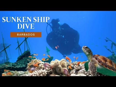 Diving to a Sunken Shipwreck and Colorful Coral Reefs in Barbados