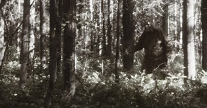 [WATCH] Possible first-ever 'Bigfoot' footage captured in Colorado | OutThere Colorado
