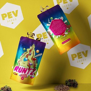Runtz Strain - Buy cheap Feminized Seeds - Pevgrow