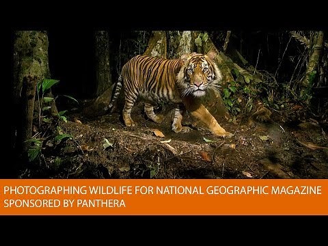 Photographing Wildlife for National Geographic Magazine