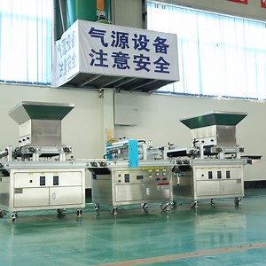 [Hot Item] Automatic Tray Seed Sowing Machine for Marigold Flowers