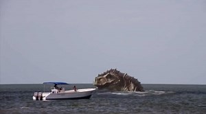 Tráiler 'Poseidon Rex'