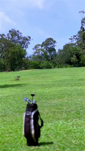 Ultimate Guide to Golf Games for All Levels