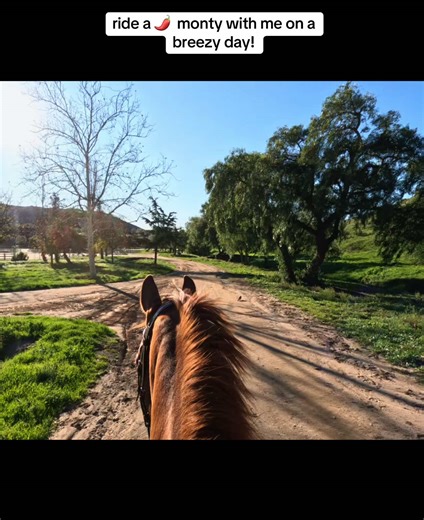 Enjoy a Breezy Ride with Monty on a Cold Day
