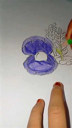 shell pencil drawing colour drawing #short #videoviral