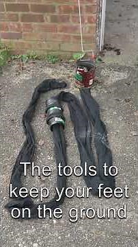 How to Pick Pears Safely from a tall tree #pears #safely #howto #feetonthe ground