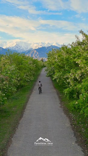 30K views · 1.2K reactions | Spring Vibe #springvibes #spring2024 #KurramValley #springflowers | Parachinar View | Facebook