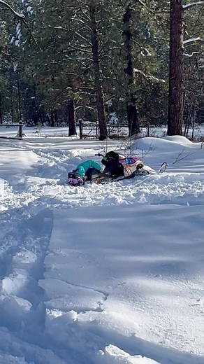 Hey Dad can i get another Ski Pull #toddlerswhoride #chickswhosled #toddlersoftiktok #arcticcat #minisled #zr120 #winter #sports #sledkid #snowmobile #sledding #sledseason #learntoride #fyp #canadiangirl #canadiankid #skidoo #polaris #kittykat #sledwrap #fxr #minitrack