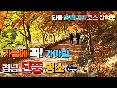11월에 꼭 가봐야할 가을 단풍명소 | 경남 가볼만한 곳 | 함안 입곡군립공원 | 산책로 출렁다리 | 함안 가볼만한곳 | 단풍구경 갈만한곳 | 가을 여행지 | 경남 추천 여행지
