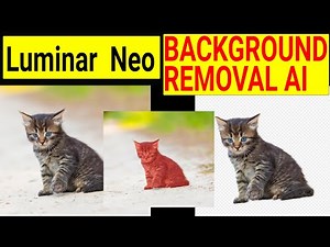 Luminar Neo. Background Removal Ai extension review