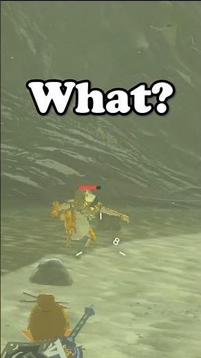 Explain To Me What Happened With This Rock And Lizalfos... #zelda Breath of The Wild #botw