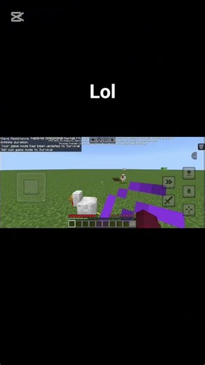 How To Be Immortal In Minecraft #minecraft #tutorial