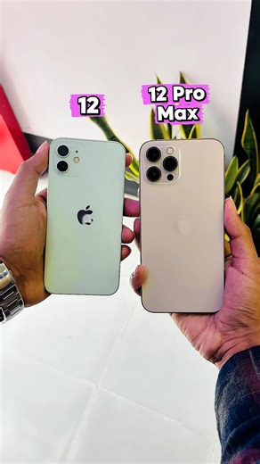 iPhone 12 Vs iPhone 12 Pro Max || Camera Zoom Test! #shorts