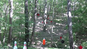 Savage Stance Micro 9mm