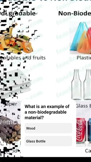 Biodegradable and Non Biodegradable Materials