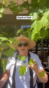 1K views · 55 reactions | Creating depth of field - what is and is not in focus- challenge for you | Learn how to Photograph | Facebook