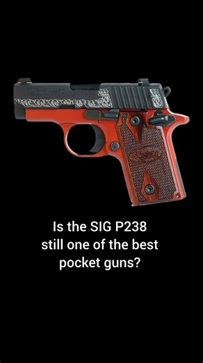 Does the SIG P238 Still Hold up?