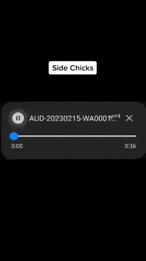 Understanding the Digital Audio Player Interface