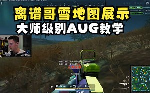 【tgltn/中字】离谱哥雪地图展示大师级别AUG教学