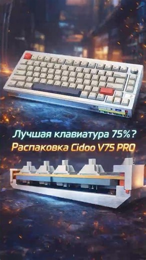 Клавиатура “как кастом”, но из коробки: Cidoo V75 PRO обзор