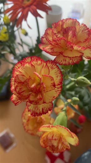 Orange Carnations Flower Bouquet