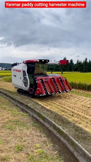 Yanmar paddy cutting harvester machine 🌾 #shorts #trendingshorts #viralshorts