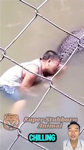Crocodile Attack Human Caught on Camera – You Won’t Believe What Happens Next!
