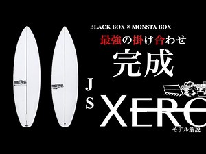 JS XERO model explanation